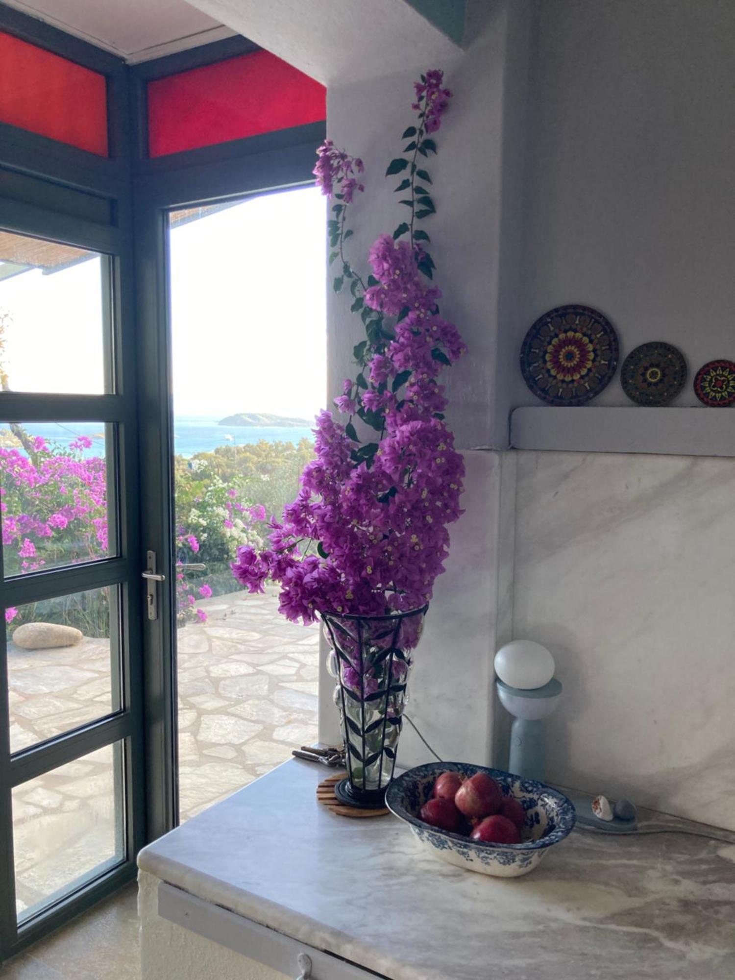 Villa Tierra Skiathos Exterior foto
