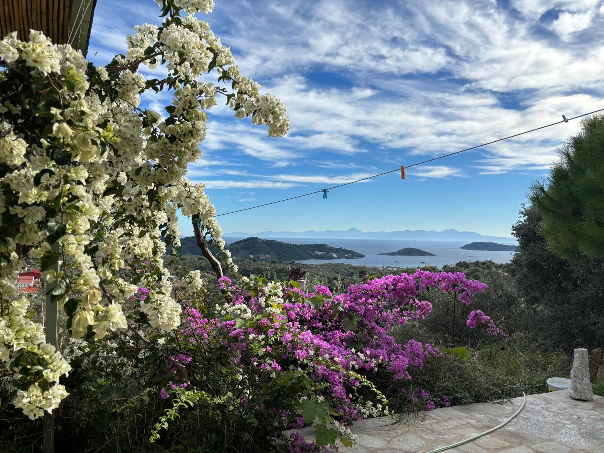Villa Tierra Skiathos Exterior foto