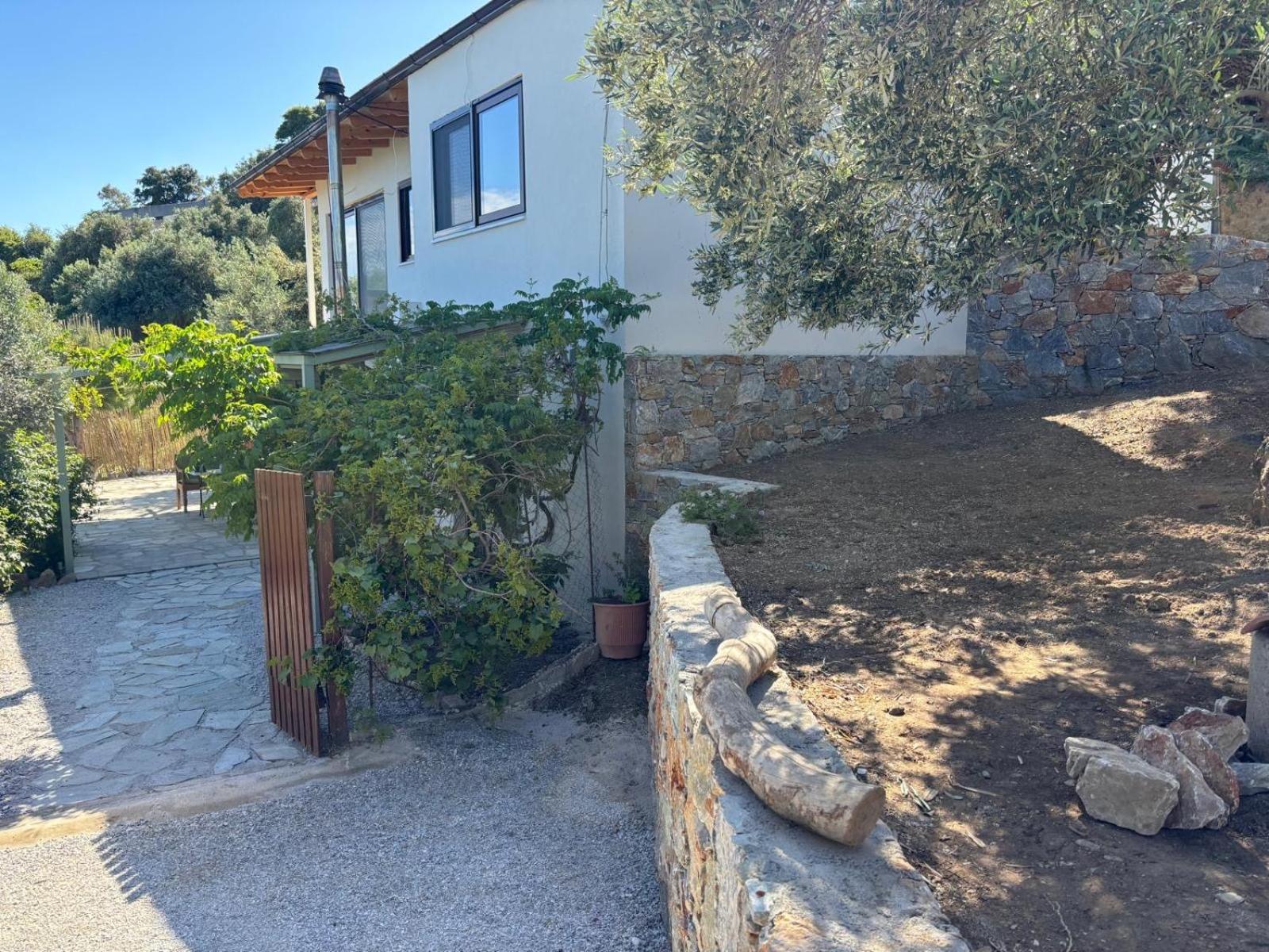 Villa Tierra Skiathos Exterior foto