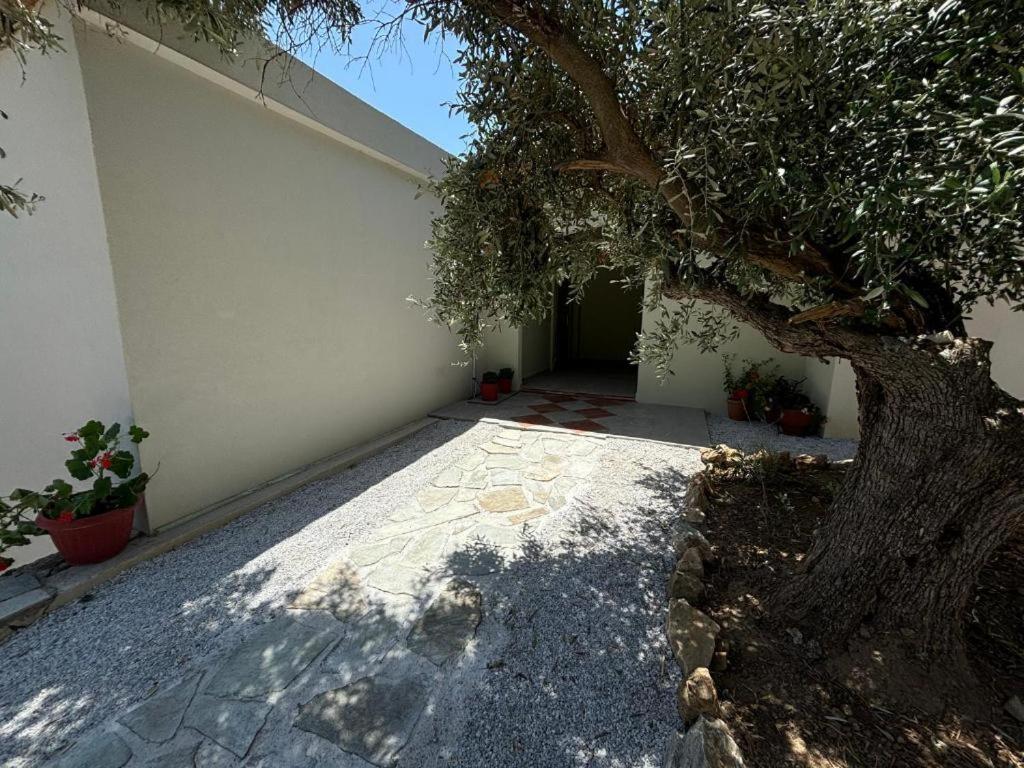 Villa Tierra Skiathos Exterior foto
