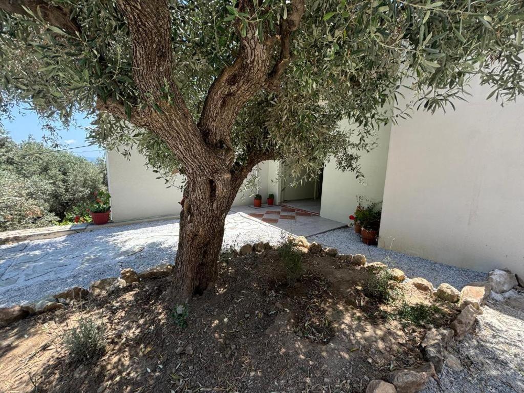 Villa Tierra Skiathos Exterior foto
